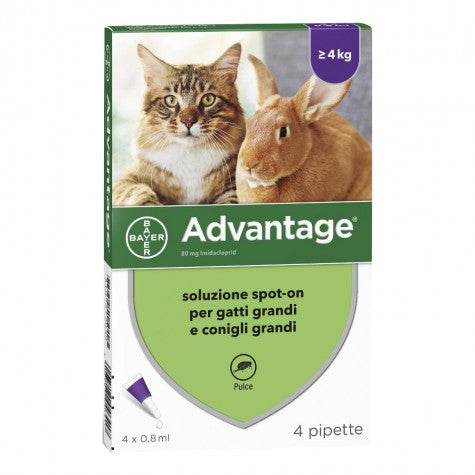 ADVANTAGE GATTO 4 PIPETTE 80 MG