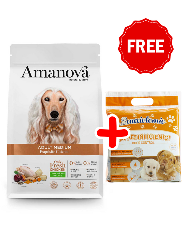 AMANOVA ADULT MEDIUM EXQUISITE POLLO 12 KG + OMAGGIO