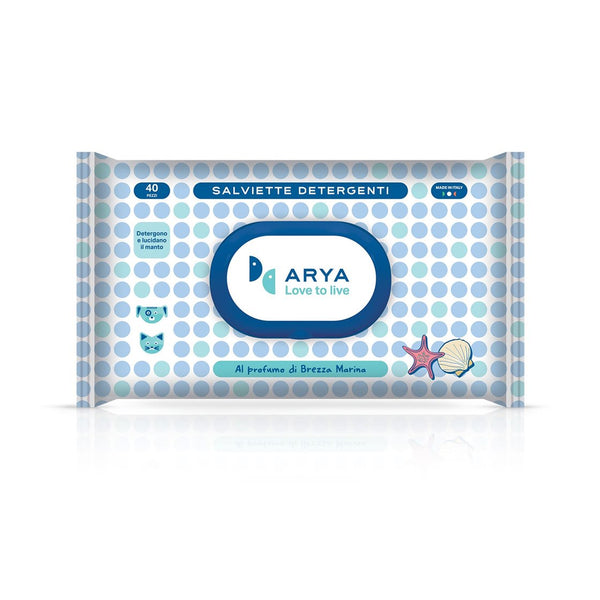 ARYA SALVIETTE DETERGENTI BREZZA MARINA 40PZ