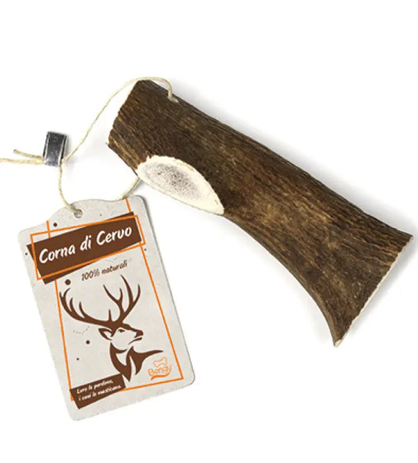 BENGY CORNA DI CERVO TAGLIATA XL 120-160 GR
