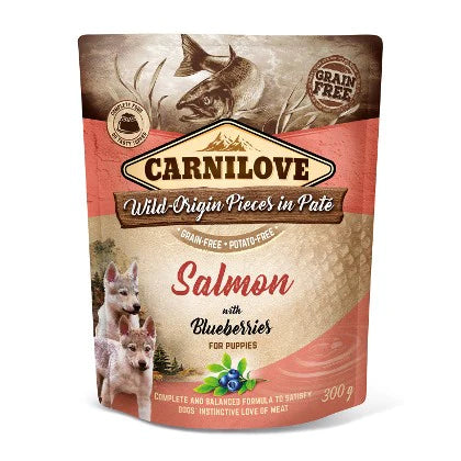 CARNILOVE WOPIP PUPPY SALMONE E MIRTILLI BLU 300 GR