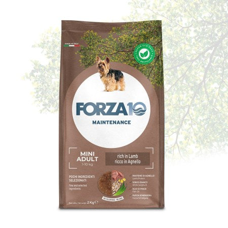 FORZA 10 MINI ADULT 2 KG AGNELLO E RISO