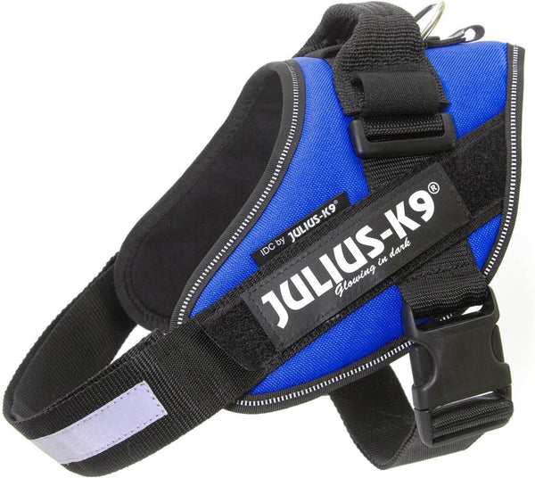 JULIUS K-9 PETTORINA MIS. 2