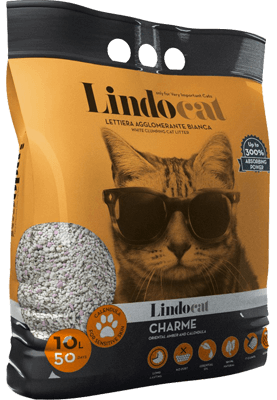 LINDOCAT CHARME - AGGLOMERANTE 10L