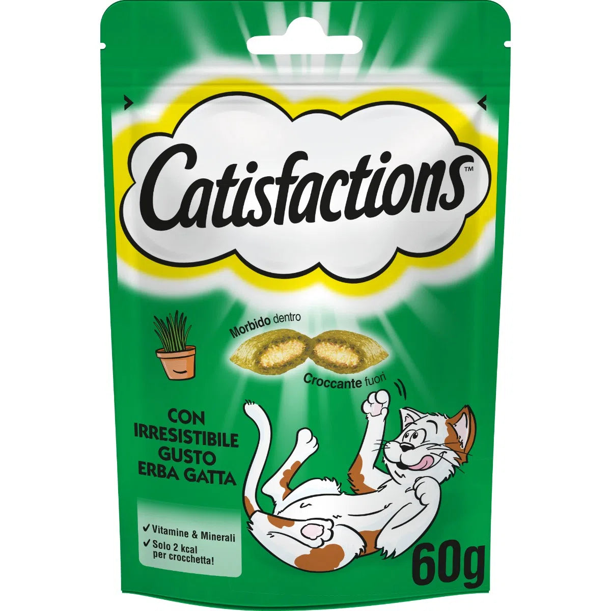 CATISFACTIONS ERBA GATTA 60GR