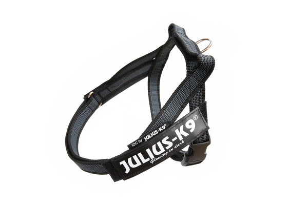 JULIUS K-9 IDC BELT HARNES MIS. 2