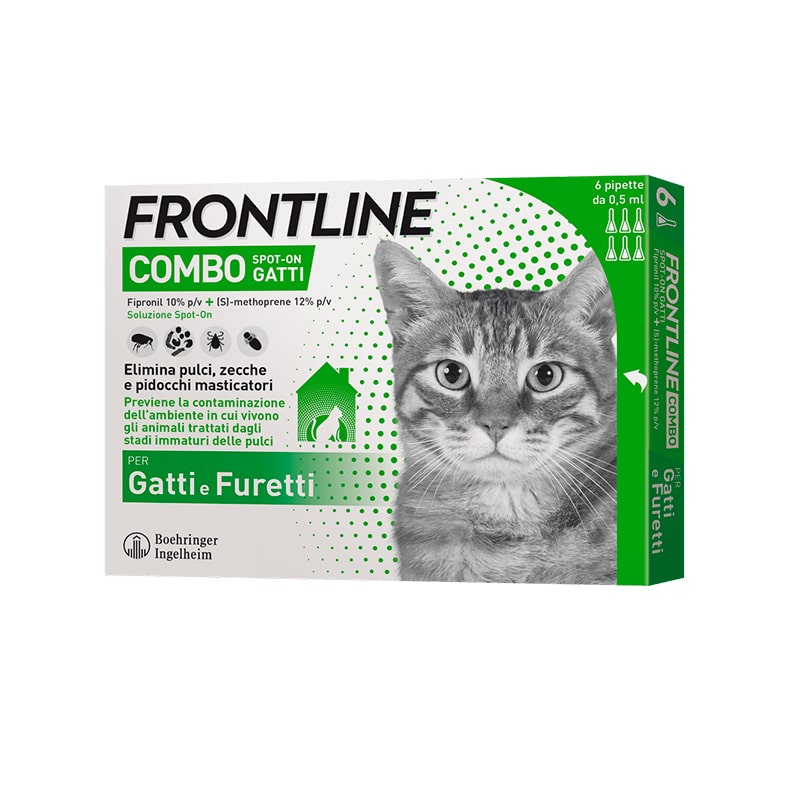 FRONTLINE COMBO GATTO