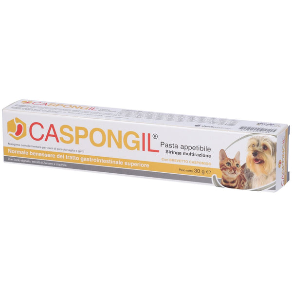 CASPONGIL PASTA SIRINGA 30 GR