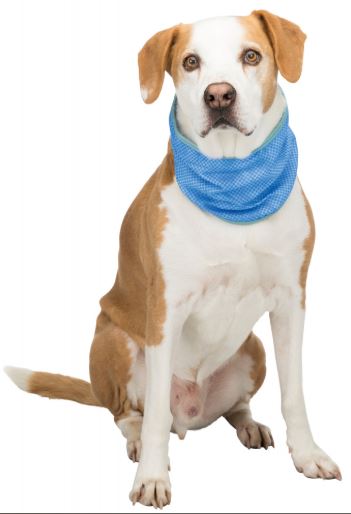 TRIXIE BANDANA RINFRESCANTE  28-40 CM