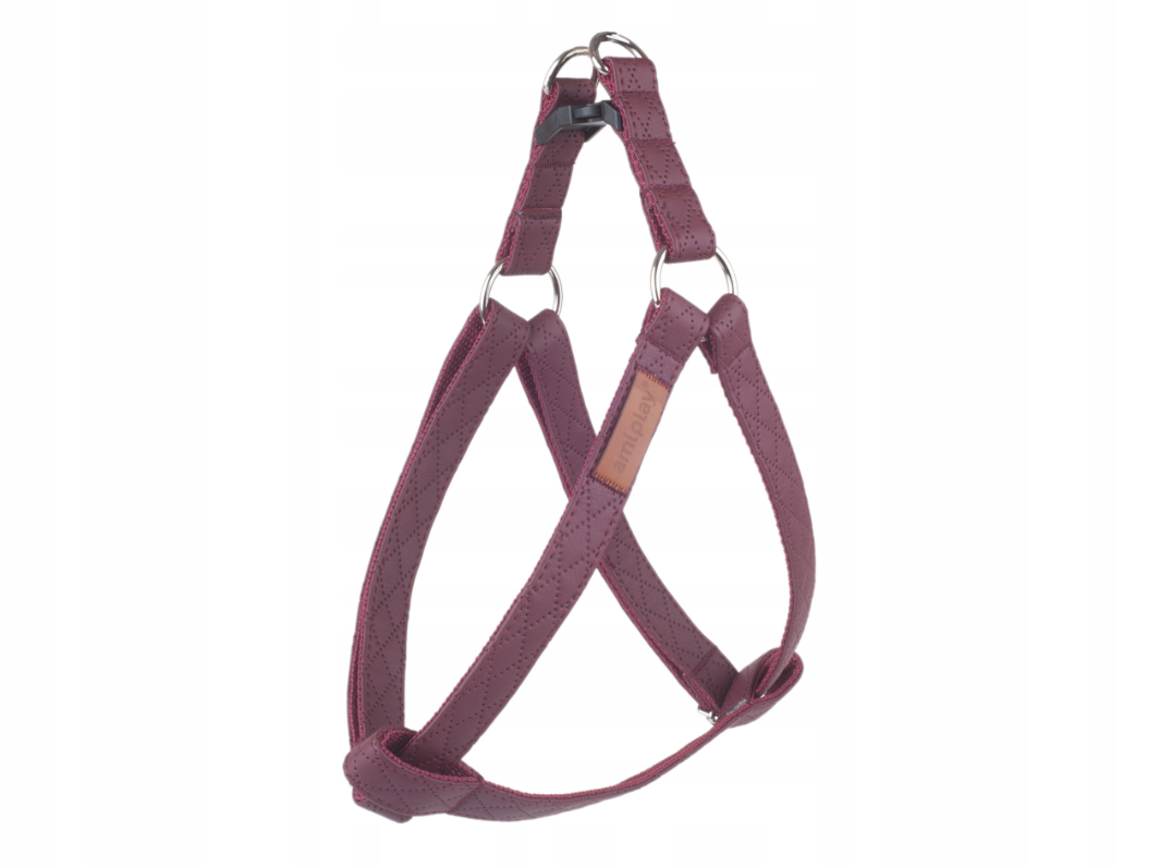 AMIPLAY PETTORINA NEW YORK ECOPELLE S