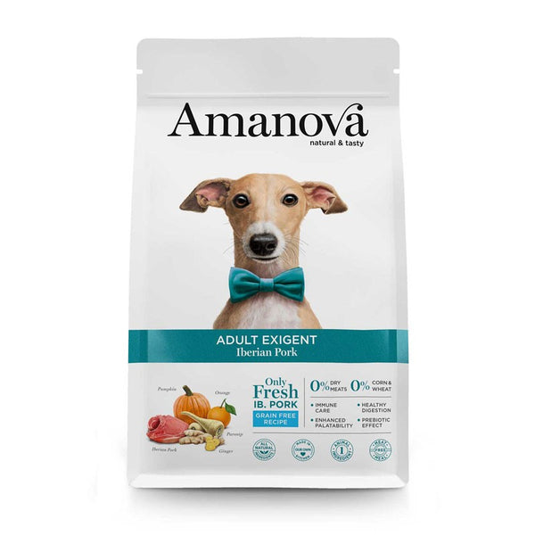 AMANOVA ADULT EXIGENT MAIALE 2 KG