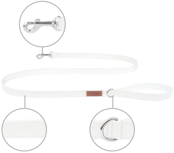 AMIPLAY GUINZAGLIO NEW YORK ECOPELLE L