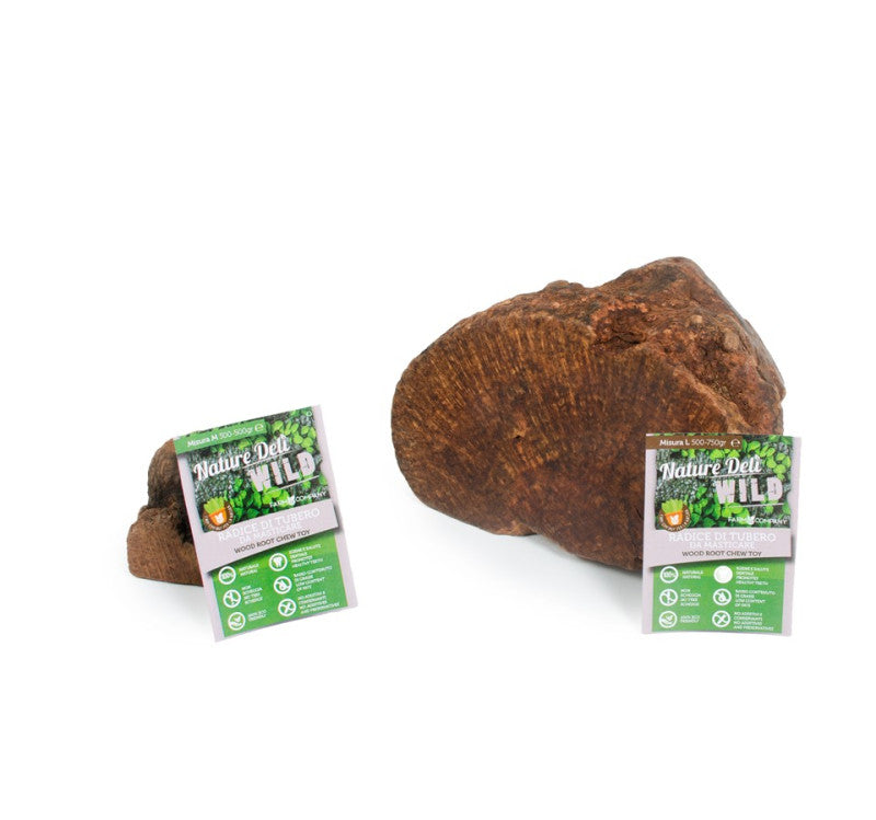 NATURE DELI RADICE DI TUBERO 150-300 GR