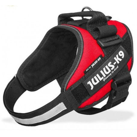 JULIUS K-9 PETTORINA MINI-MINI