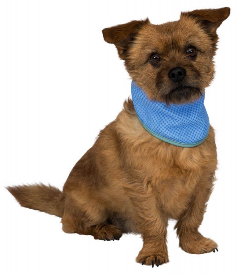 TRIXIE BANDANA RINFRESCANTE  46-56 CM