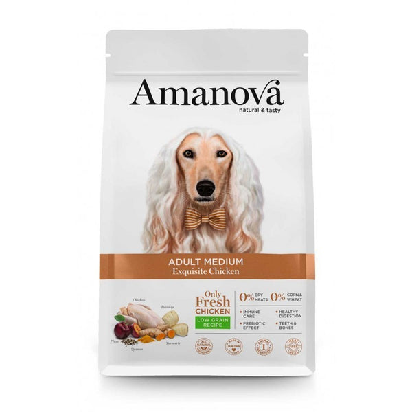 AMANOVA ADULT MEDIUM EXQUISITE POLLO 12 KG