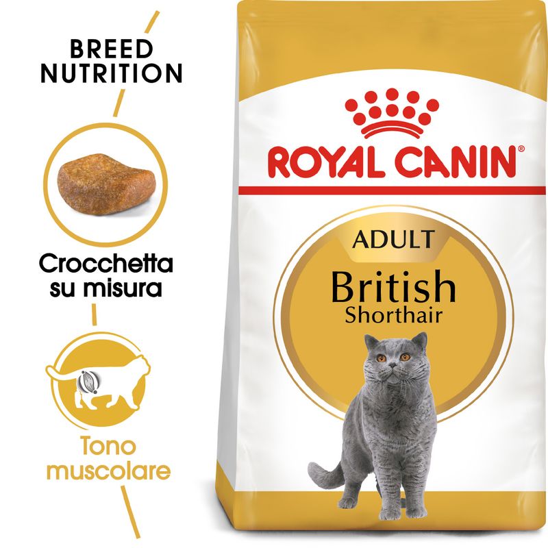 ROYAL CANIN BRITISH SHORTHAIR ADULT 2 KG