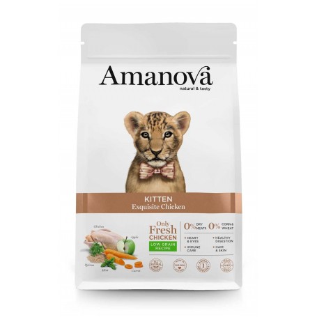 AMANOVA GATTO KITTEN POLLO 1,5 KG