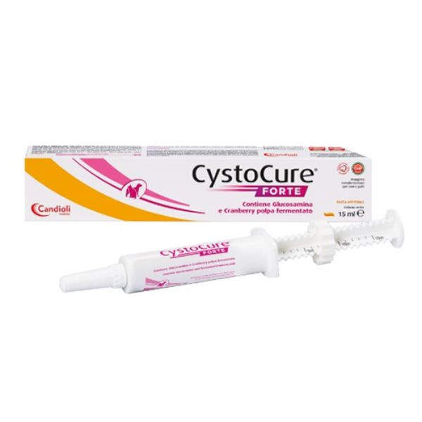 CANDIOLI CYSTOCURE FORTE PASTA 15 ML