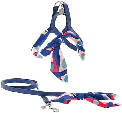 FERRIBIELLA OPERA' GUINZAGLIO + PETTORINA carmen