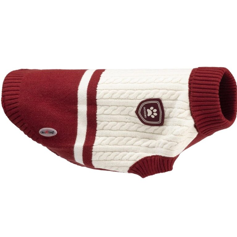 GIMDOG MAGLIONCINO ACCADEMY