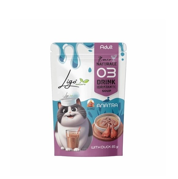 LIGO SOUP ANATRA 85 GR