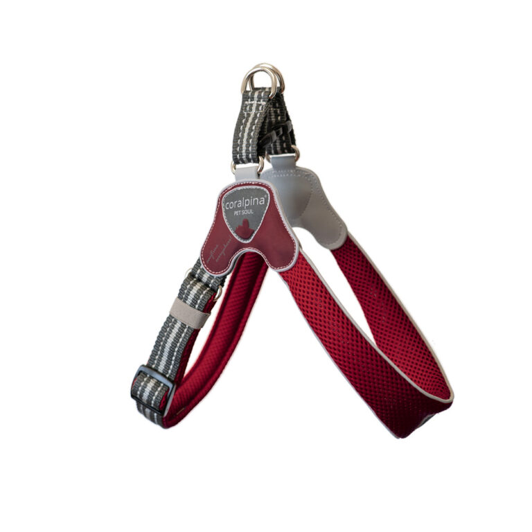 Pettorina Cinquetorri Regolabile rosso vino