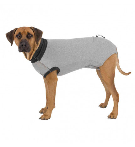 trixie-cane-body-protettivo-cane-s-35-cm-grigio_2087dbd8-1d94-4002-82a1-a8b1b92f6bcb.jpg
