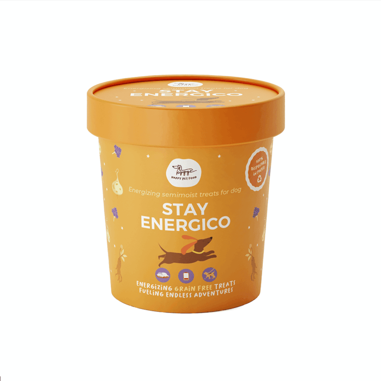 HIGGIE BISCOTTI FUNZIONALI STAY ENERGICO 100 GR