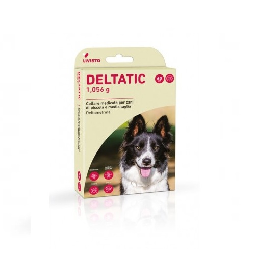 LIVISTO DELTATIC COLLARI 60CM X2