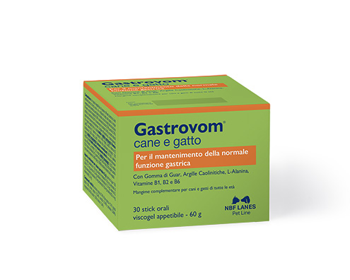 Gastrovom-Stick