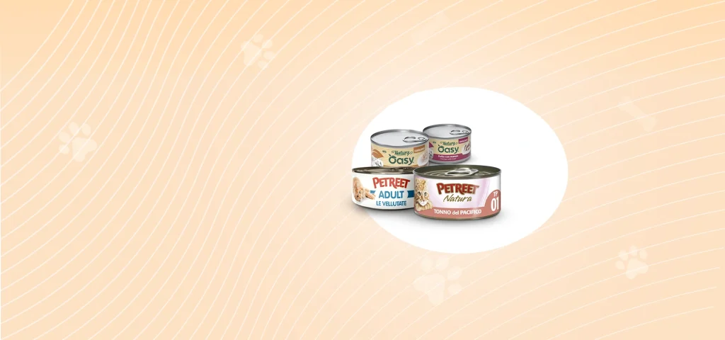 Exotic life_banner_promo gatto